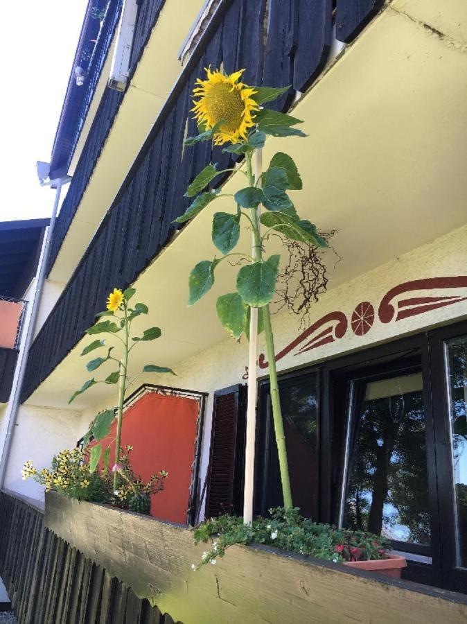 Ferienwohnung Hani 斯皮格劳 外观 照片